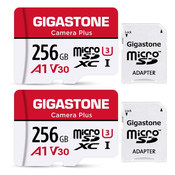 Imagem de Cartão de memória Gigastone Camera Plus 256GB (pacote com 2) com estojo