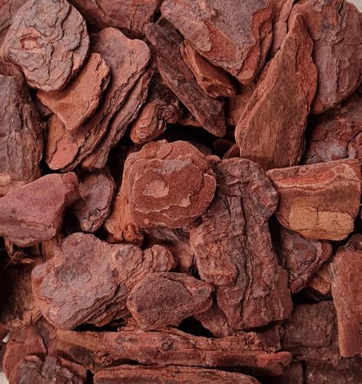Casca de Pinus polida Natural Decoração 20 litros Menor preço em Casca de Pinus polida Natural Decoração 20 litros