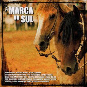 Imagem de Cd - A Marca Do Sul - Vol - 16