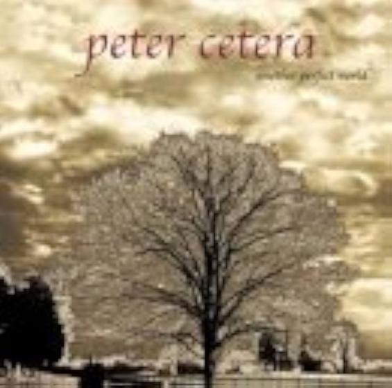 Imagem de Cd - Peter Cetera / Another Perfect World