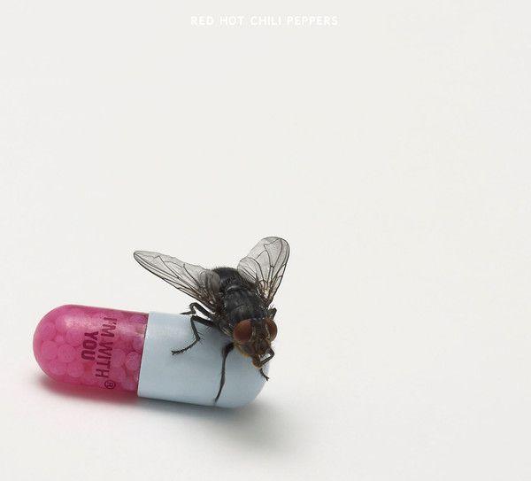 Imagem de CD Red Hot Chili Peppers  I'm With You