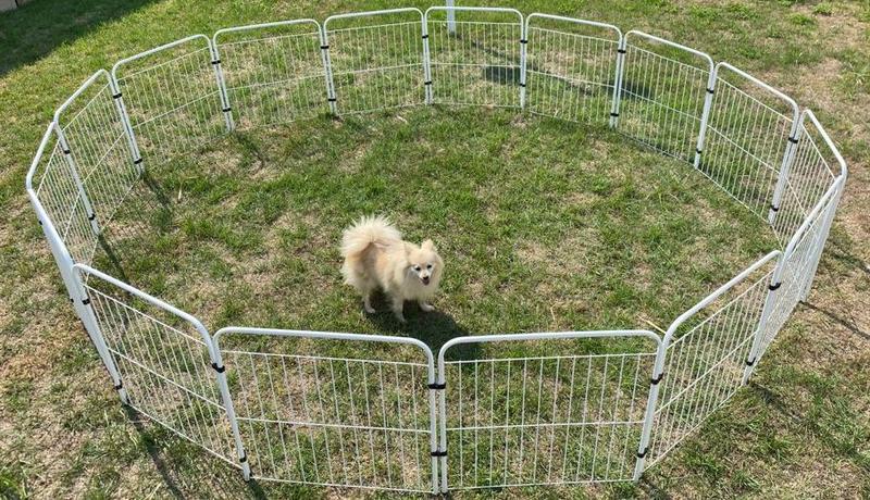 Imagem de Cercado Grade Cães Canil Pet Cão Cachorro 16/65 Branco