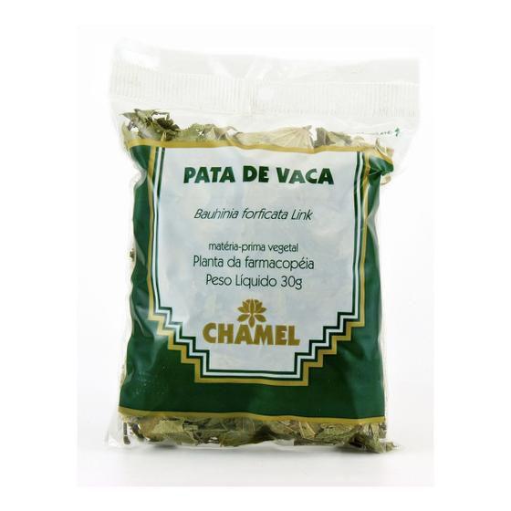 Imagem de Chamel - pata de vaca