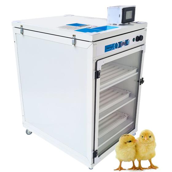 Imagem de Chocadeira Automática Digital - Luna 240