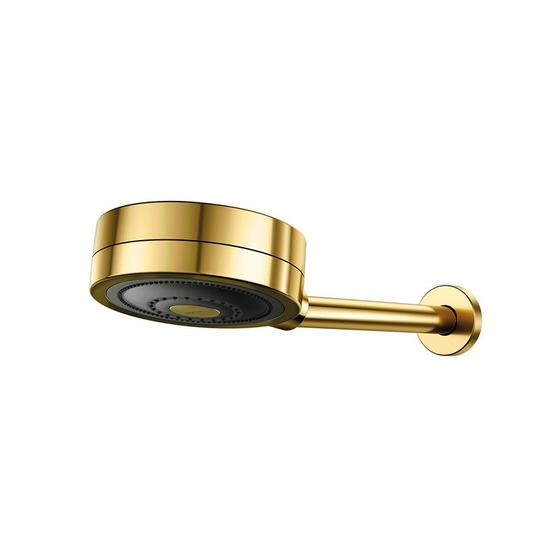 Imagem de Chuveiro Docol Novo Technoshower 1204843 de Parede Ouro Polido