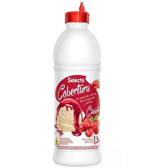 Imagem de Cobertura para Sorvete e Açai Sabor Cassis 1.3kg Selecta