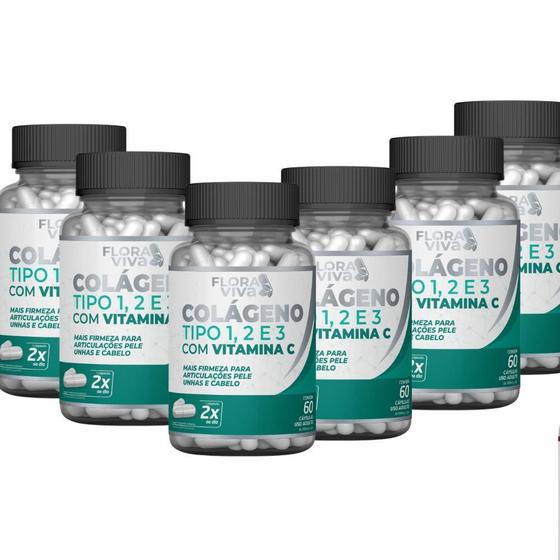 Colágeno tipo 1,2 e 3 com vitamina C 500mg 60 cáps Kit com 6 Menor preço em Colágeno tipo 1,2 e 3 com vitamina C 500mg 60 cáps Kit com 6