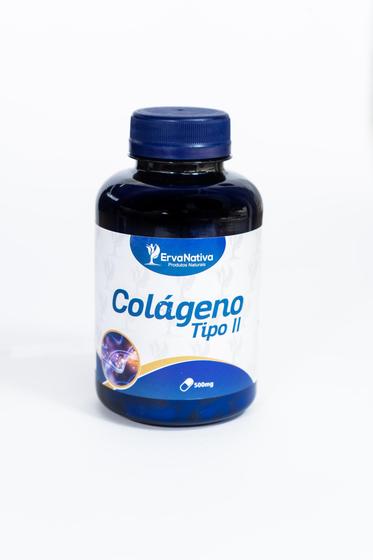 Colágeno Tipo 2 500mg 100 Capsulas Erva Nativa Menor preço em Colágeno Tipo 2 500mg 100 Capsulas Erva Nativa