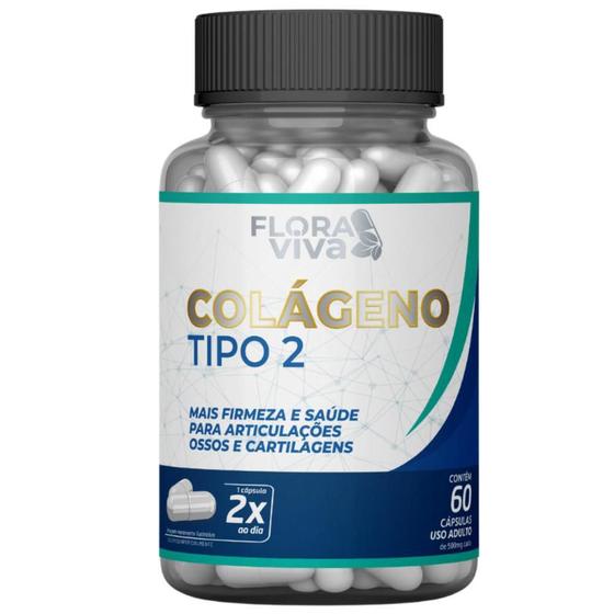 Colágeno Tipo 2 500mg 60 cáps Menor preço em Colágeno Tipo 2 500mg 60 cáps
