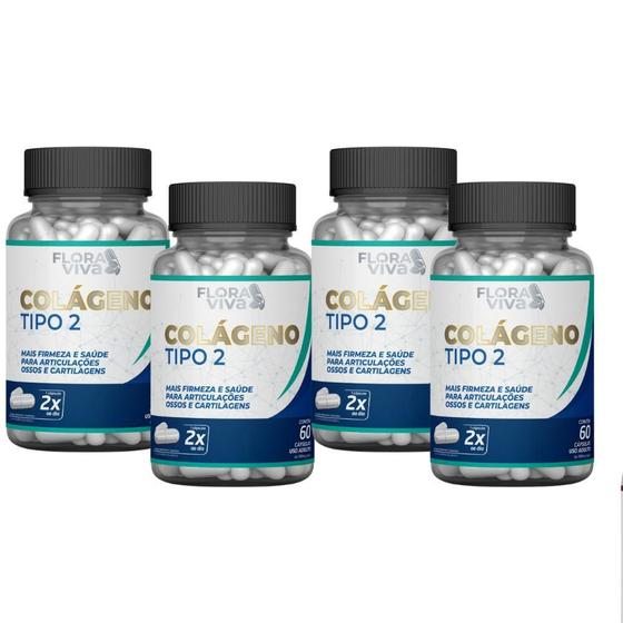 Colágeno Tipo 2 500mg 60 cápsulas Kit com 4 Menor preço em Colágeno Tipo 2 500mg 60 cápsulas Kit com 4