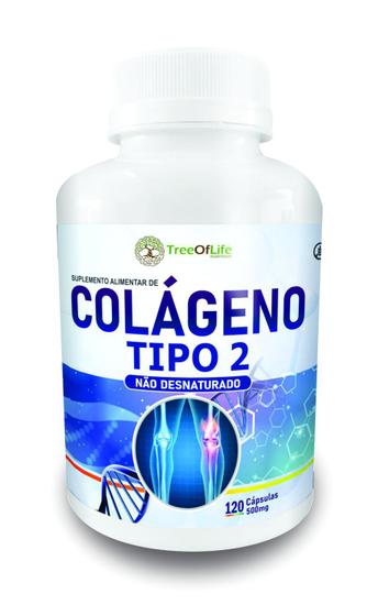 Colageno Tipo Ii Uc 2 40mg 120 Capsulas Menor preço em Colageno Tipo Ii Uc 2 40mg 120 Capsulas