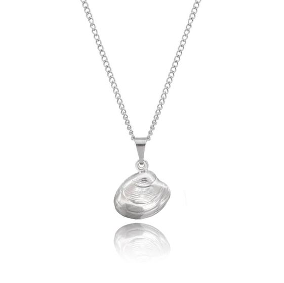 Imagem de colar feminino de concha do mar aço inox antialérgico prata gargantilha choker não escurece banhado