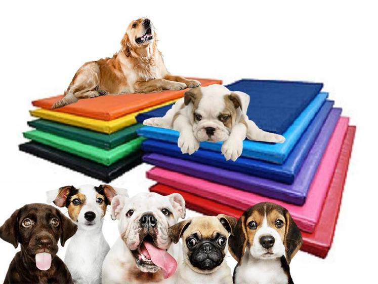 Imagem de Colchonete impermeável para Pets - 70x50 - Cores variadas