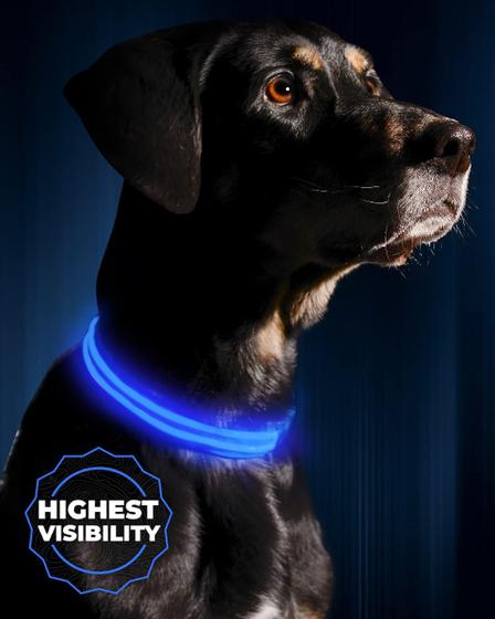 Imagem de Coleira de LED Recarregável USB para Cães Illumiseen - Azul