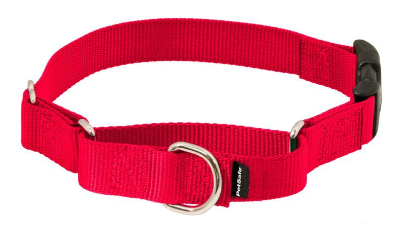 Imagem de Coleira Martingale PetSafe com fivela Quick Snap vermelha