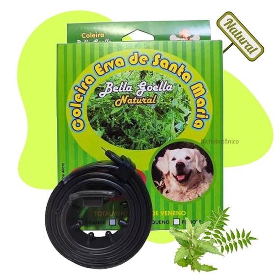 Imagem de Coleira repelente anti carrapato Natural para cachorro e gato - Erva Santa Maria