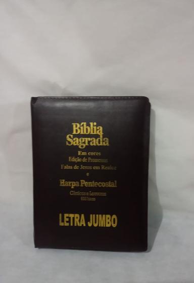 Imagem de Combo: Biblia Sagrada Letra Jumbo com Óleo de Unção