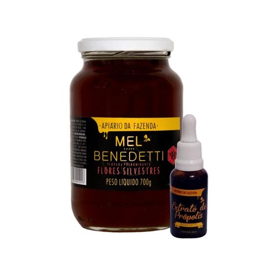 Imagem de Combo Mel Flores Silvestre  700g e Própolis 30ml