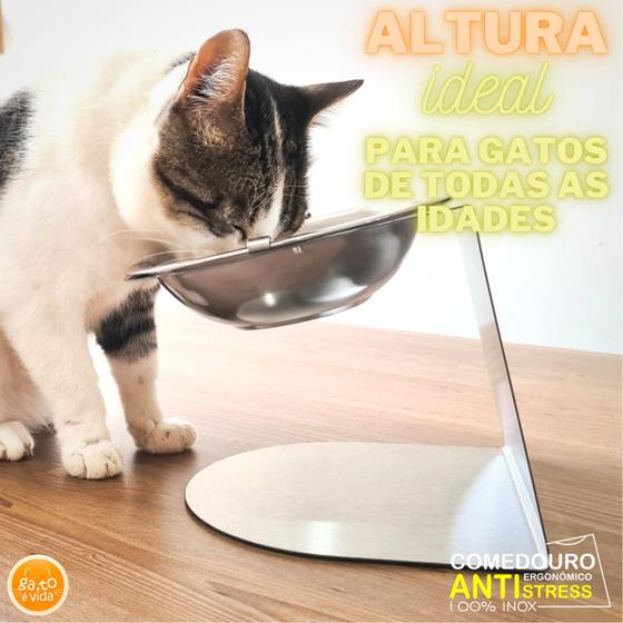 Imagem de Comedouro Simples Gato é Vida