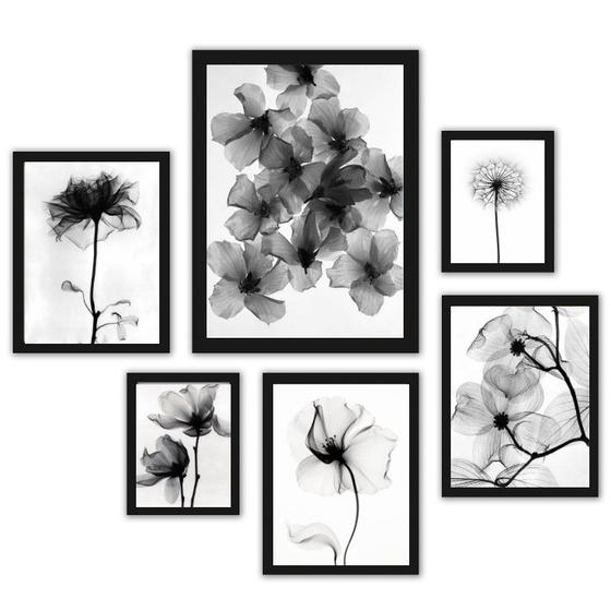 Imagem de Composição 6 Quadros Flores Transparentes Preto E Branco - com vidro
