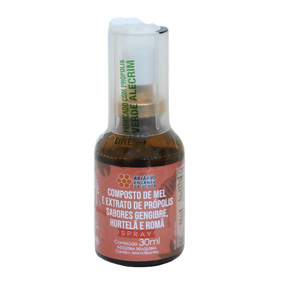 Imagem de Composto De Mel E Extrato De Própolis Sabores Gengibre Hortelã E Romã Spray 30ml Apiário Encanto Da Serra
