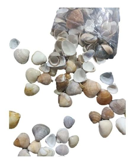 Imagem de Conchas Do Mar Natural 400g Coloridas Tratadas Artesanato
