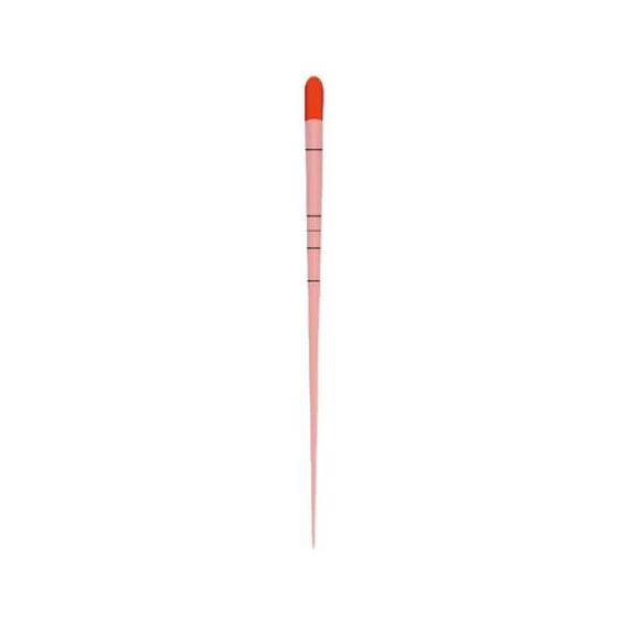 Imagem de Cone de Guta Percha Bassi com 60 un - Easy