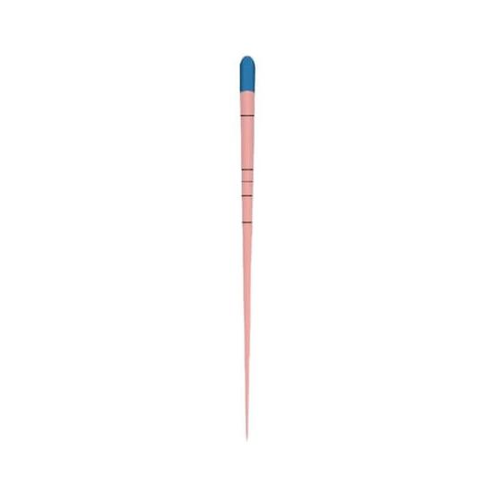 Imagem de Cone de Guta Percha Bassi com 60 un - Easy