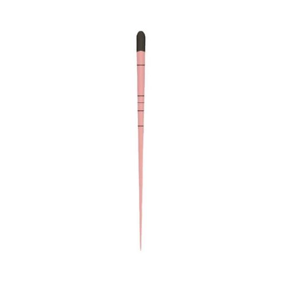 Imagem de Cone de Guta Percha Bassi com 60 un - Easy