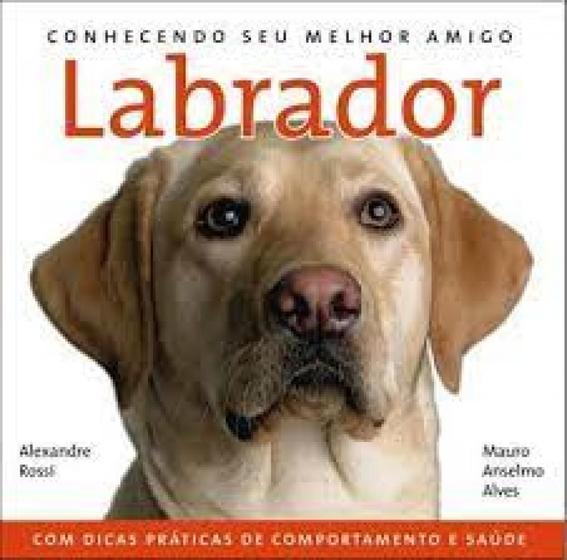 Imagem de Conhecendo Seu Melhor Amigo: Labrador