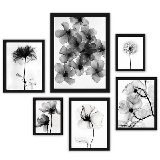 Imagem de Conj. 6 Quadros Flores Transp. P&B - Madeira Preta - 18x24cm, 24x33cm, 33x45cm - Acetato - Garantia 3 Meses