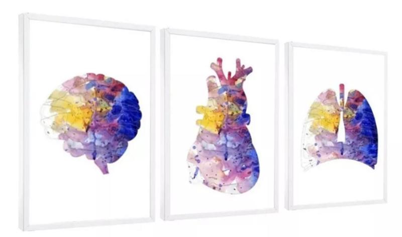 Imagem de Conjunto 5 Quadros Decorativos Medicina Consultório"