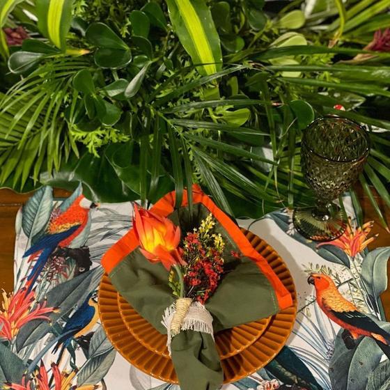 Imagem de Conjunto com 2 jogos americano mesa tropical araras 3D