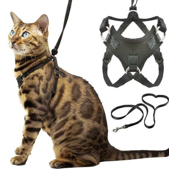 Imagem de Conjunto de arnês e coleira para gatinhos OutdoorBengal Houdini