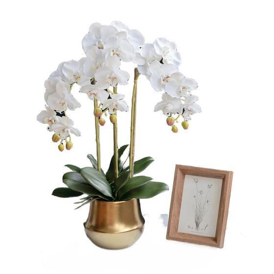 Imagem de Conjunto de flores artificiais Wokex Phalaenopsis Simulation 40cm