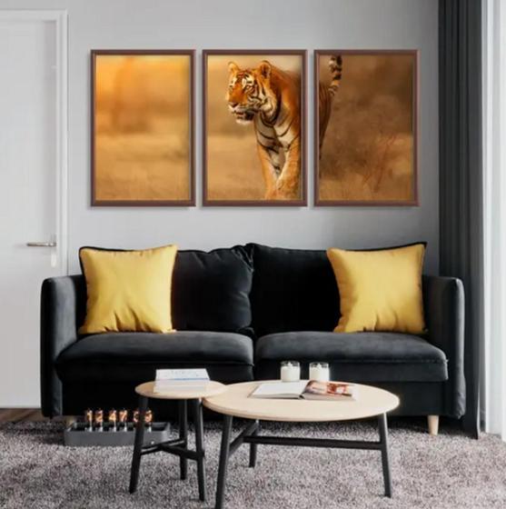 Imagem de conjunto de quadros decorativos 3 peças Tigre Indiano"