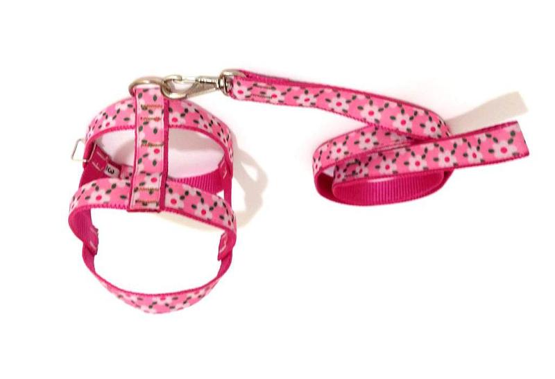 Imagem de Conjunto Guia Peitoral 25mm rosa floral Tam. 4 (42 cm50 cm)