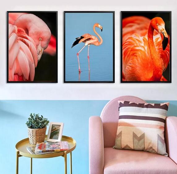 Imagem de conjunto quadros Flamingos Natureza Animais"