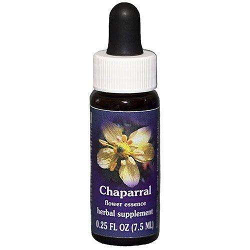 Imagem de Conta-gotas Chaparral 0,25 oz da Flower Essence Services (pacote com 4)