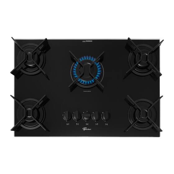 Line Cooktop Cooktop a Gás 5 Bocas Bivolt Fit Line Trempe Iron Fischer - Cooktop ...