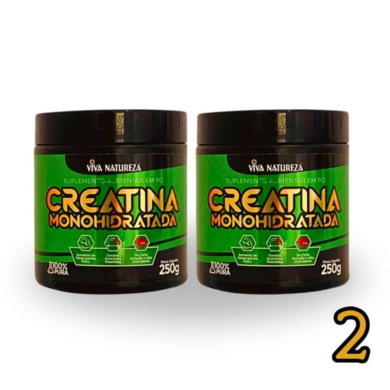 Imagem de Creatina Monohidratada 100% Pura - Pote 250g Viva Natureza