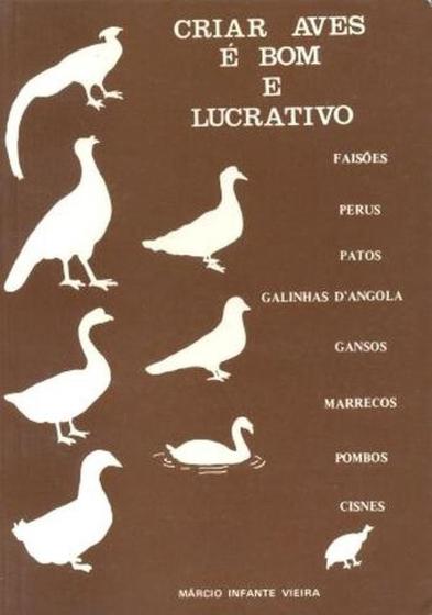 Imagem de Criar Aves é Bom e Lucrativo 5ª Edição 2000 - Prata