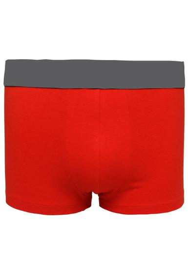 Imagem de Cueca Boxer Adulto Elastano P M G Gg Várias Cores