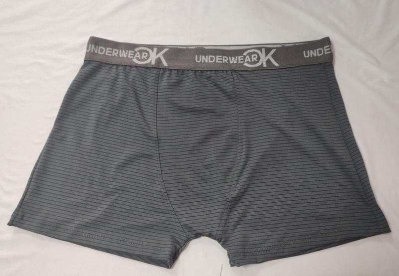 Imagem de Cueca Boxer Listradas