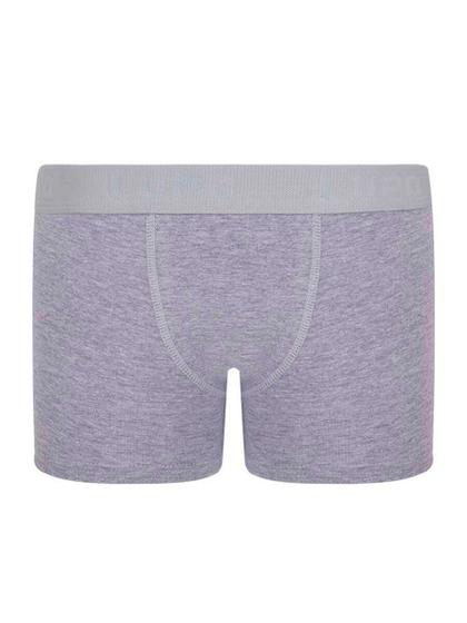 Imagem de Cueca boxer lupinho 150-002 infantil