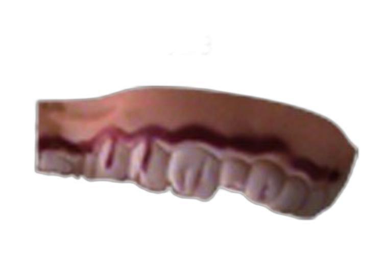 Imagem de Dentadura Latex Monstro Mod 3 D+
