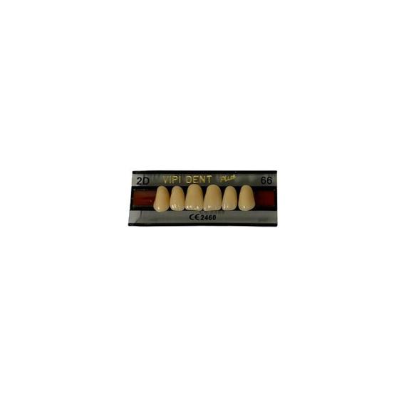 Imagem de Dente 2D Superior Anterior 66 - Vipi