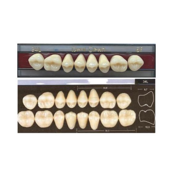 Imagem de Dente Dent Clean Posterior 34L Superior - Imodonto