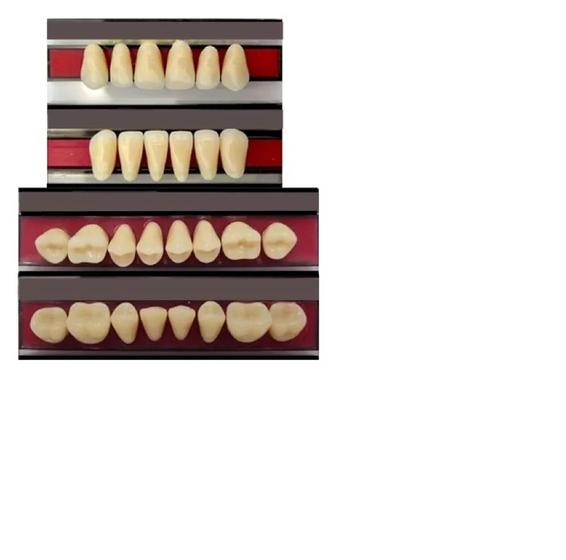 Imagem de Dente Reposição Prótese Denta Boca Completa 266 + 34l Cor 66