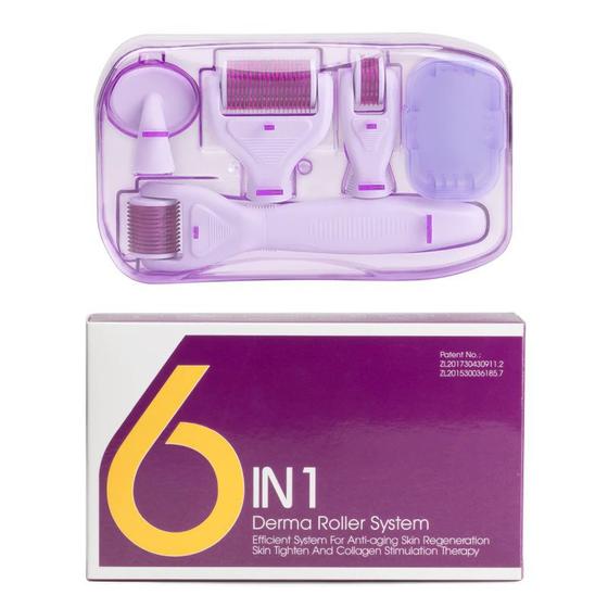 Imagem de Dermas do rolo 0.2mm 0.25mm 0.3mm do derma 6 em 1 jogos do microneedle para agulhas múltiplas do tratamento do rejuvenes